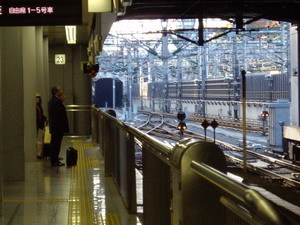 2010.11.19-sinagawa.JPG